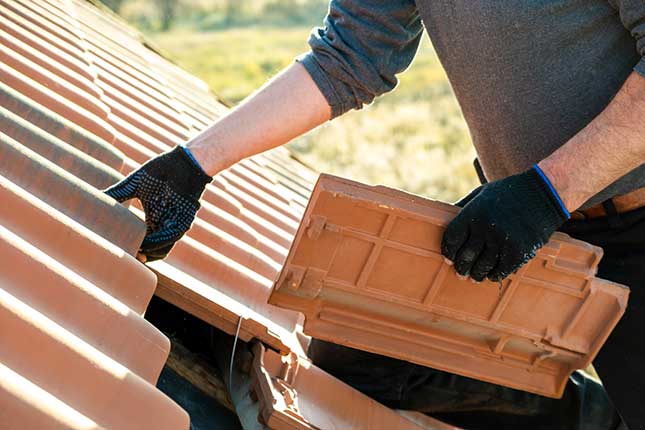 Specialty Roofing Services